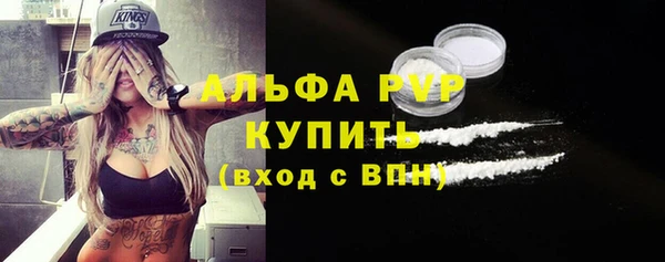apvp Каменногорск