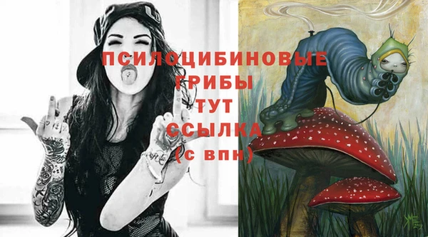 гидра Иннополис
