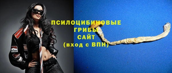 гидра Иннополис