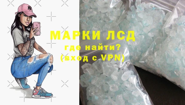 прущие грибы Каменка