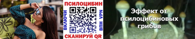 Купить  Вилюйск  Галлюциногенные грибы Cubensis 